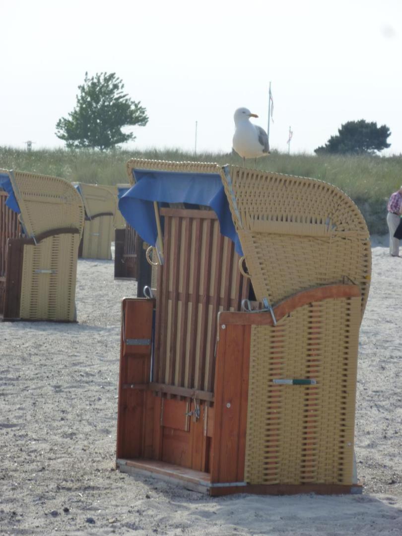 Apartment Ostseeblick Direkt Am Suedstrand - Mit Strandkorb *